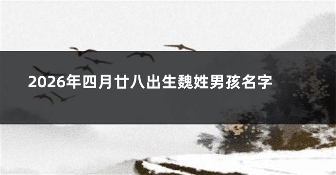 2026年四月廿八出生魏姓男孩名字