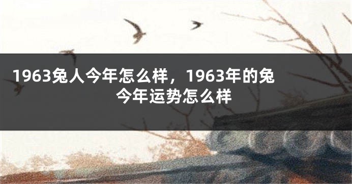 1963兔人今年怎么样,1963年的兔今年运势怎么样