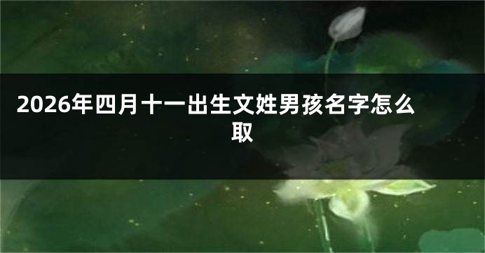 2026年四月十一出生文姓男孩名字怎么取
