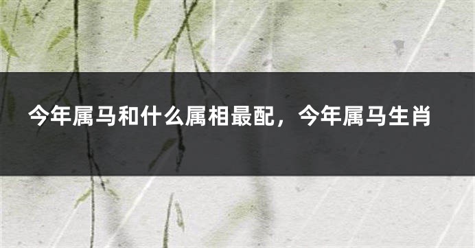 今年属马和什么属相最配，今年属马生肖
