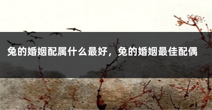 兔的婚姻配属什么最好，兔的婚姻最佳配偶