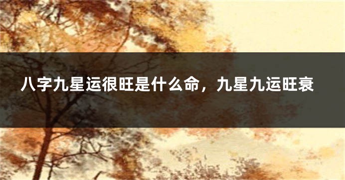 八字九星运很旺是什么命,九星九运旺衰