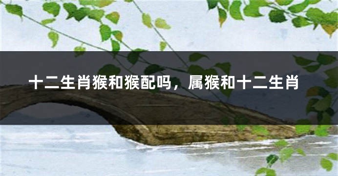 十二生肖猴和猴配吗，属猴和十二生肖