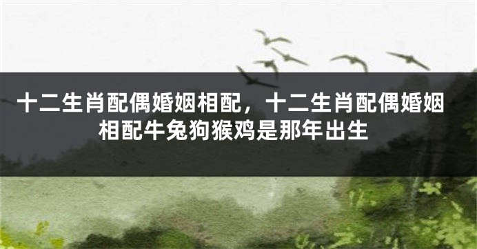 十二生肖配偶婚姻相配，十二生肖配偶婚姻相配牛兔狗猴鸡是那年出生