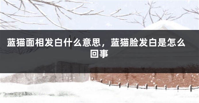 蓝猫面相发白什么意思，蓝猫脸发白是怎么回事