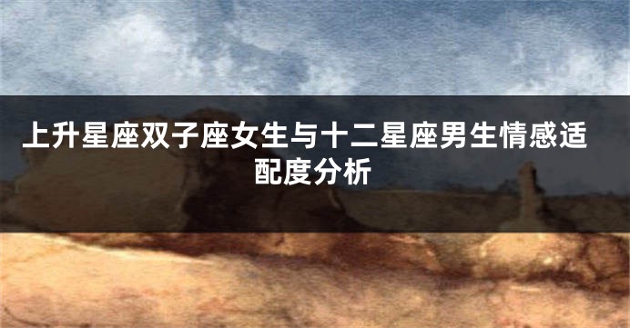 上升星座双子座女生与十二星座男生情感适配度分析
