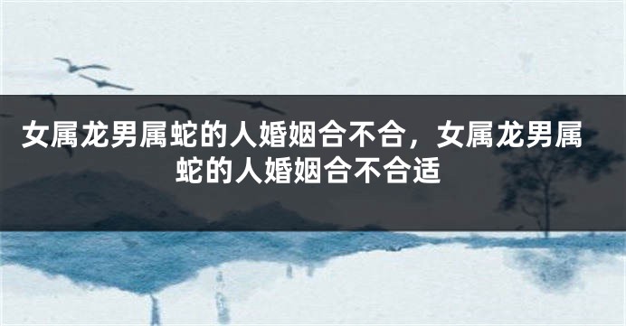 女属龙男属蛇的人婚姻合不合，女属龙男属蛇的人婚姻合不合适