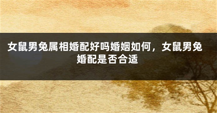 女鼠男兔属相婚配好吗婚姻如何，女鼠男兔婚配是否合适