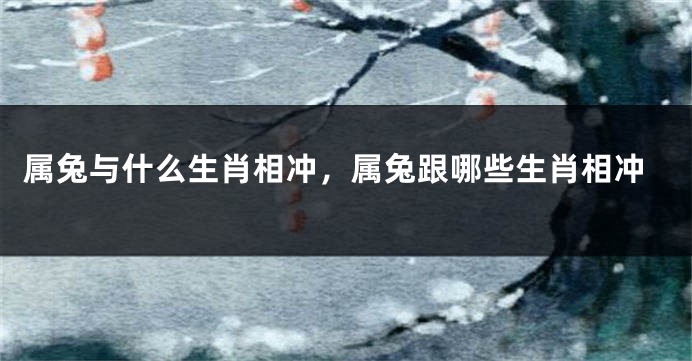 属兔与什么生肖相冲,属兔跟哪些生肖相冲