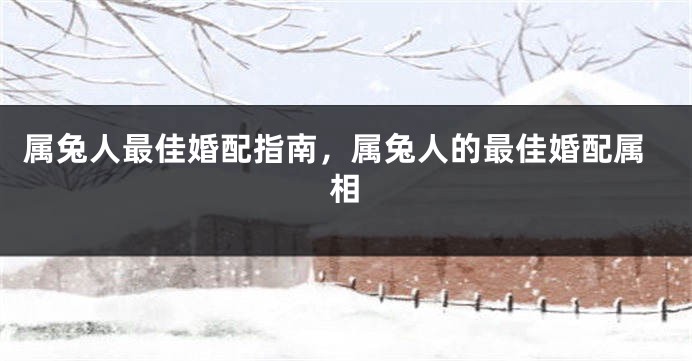 属兔人最佳婚配指南，属兔人的最佳婚配属相