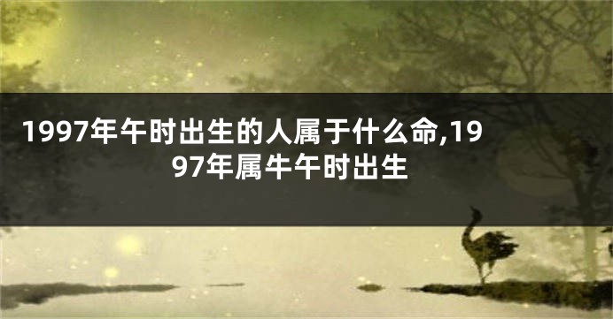 1997年午时出生的人属于什么命,1997年属牛午时出生