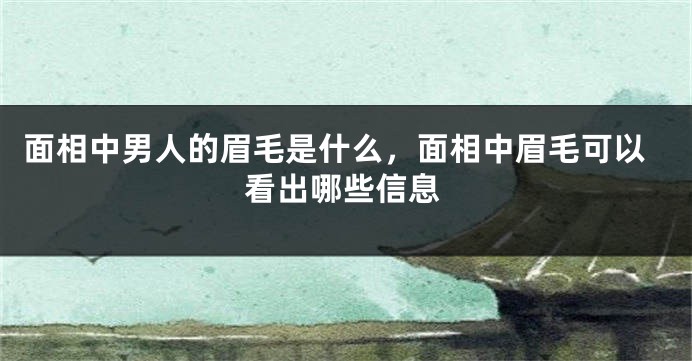面相中男人的眉毛是什么,面相中眉毛可以看出哪些信息
