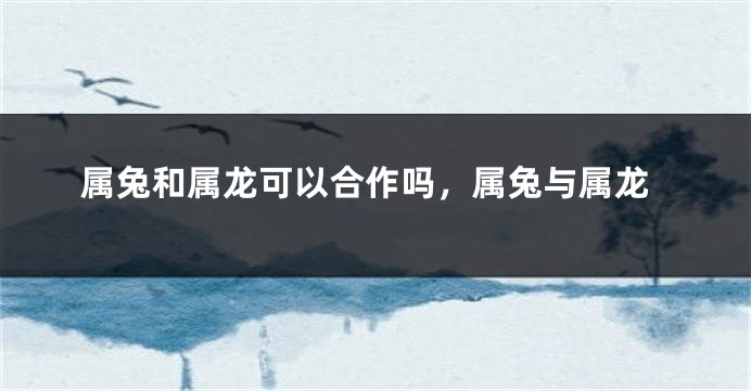 属兔和属龙可以合作吗，属兔与属龙