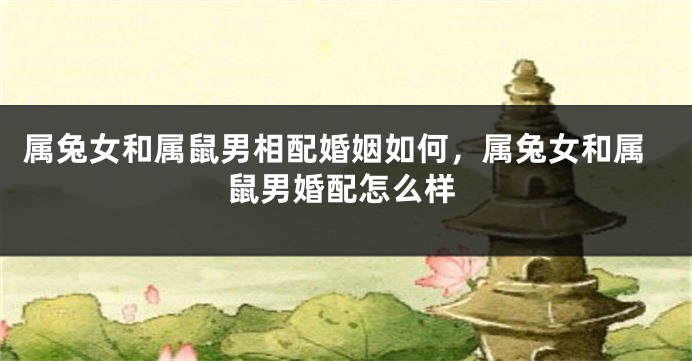属兔女和属鼠男相配婚姻如何，属兔女和属鼠男婚配怎么样