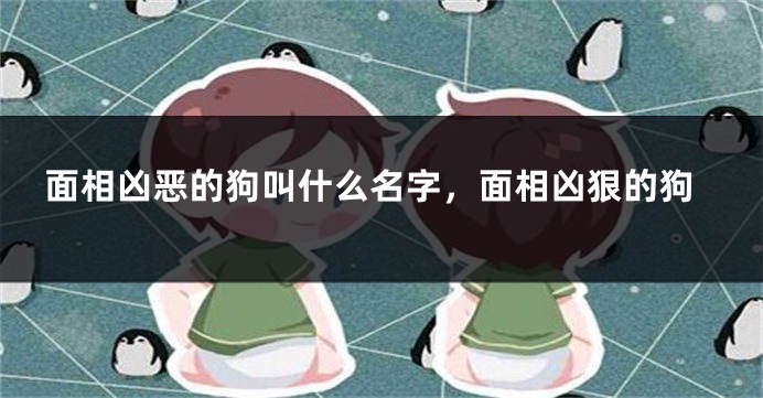 面相凶恶的狗叫什么名字，面相凶狠的狗