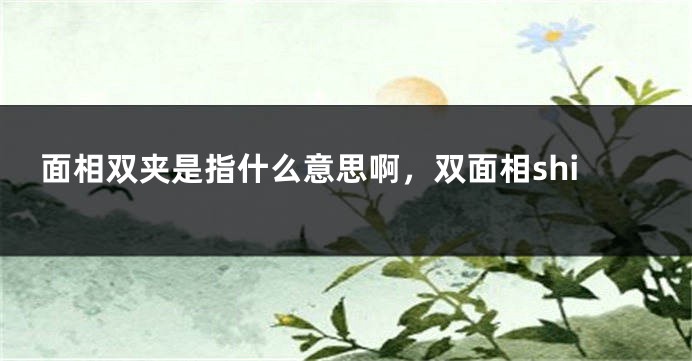 面相双夹是指什么意思啊,双面相shi