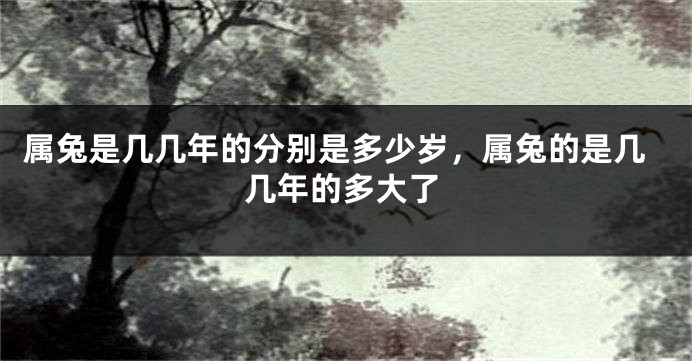 属兔是几几年的分别是多少岁，属兔的是几几年的多大了