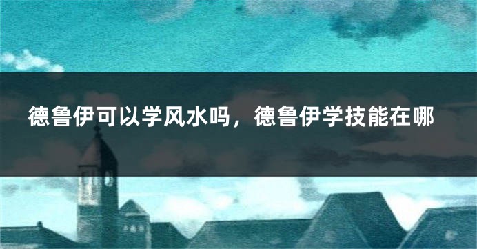 德鲁伊可以学风水吗,德鲁伊学技能在哪