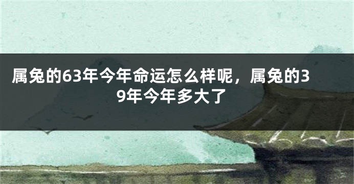 属兔的63年今年命运怎么样呢，属兔的39年今年多大了
