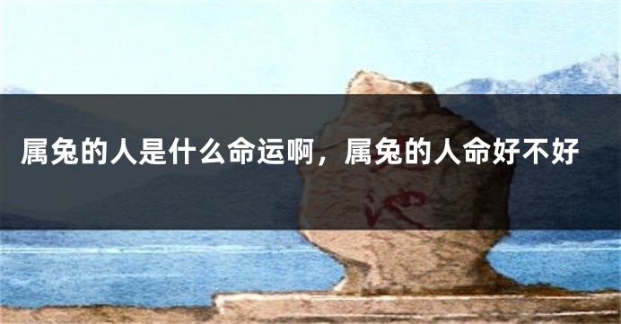 属兔的人是什么命运啊,属兔的人命好不好