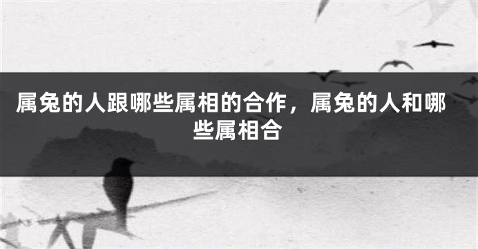 属兔的人跟哪些属相的合作，属兔的人和哪些属相合