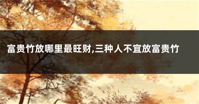 富贵竹放哪里最旺财,三种人不宜放富贵竹