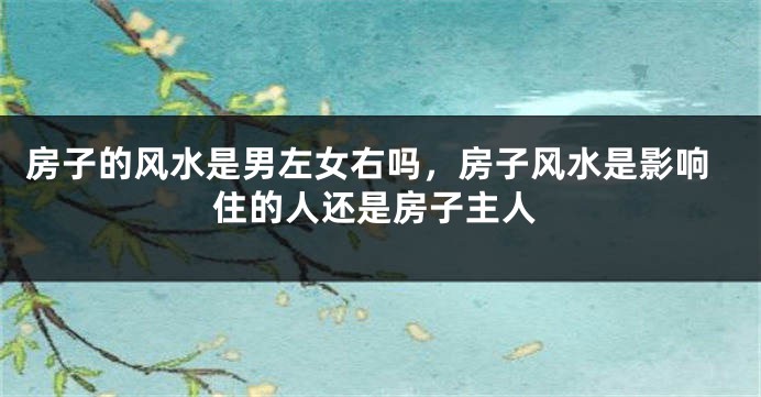 房子的风水是男左女右吗，房子风水是影响住的人还是房子主人