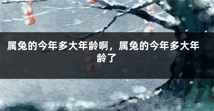 属兔的今年多大年龄啊,属兔的今年多大年龄了
