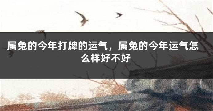 属兔的今年打牌的运气，属兔的今年运气怎么样好不好