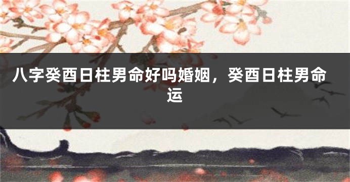 八字癸酉日柱男命好吗婚姻，癸酉日柱男命运
