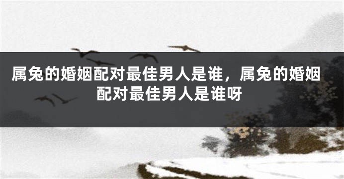 属兔的婚姻配对最佳男人是谁，属兔的婚姻配对最佳男人是谁呀