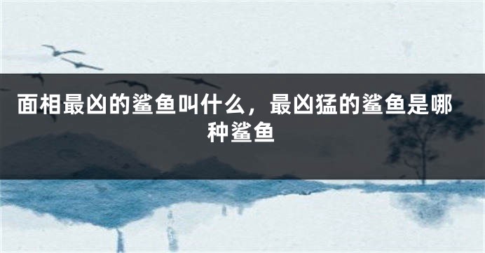 面相最凶的鲨鱼叫什么，最凶猛的鲨鱼是哪种鲨鱼