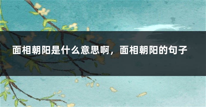 面相朝阳是什么意思啊,面相朝阳的句子