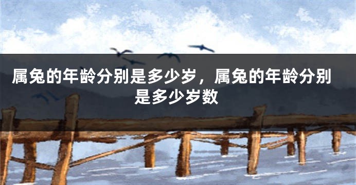 属兔的年龄分别是多少岁，属兔的年龄分别是多少岁数