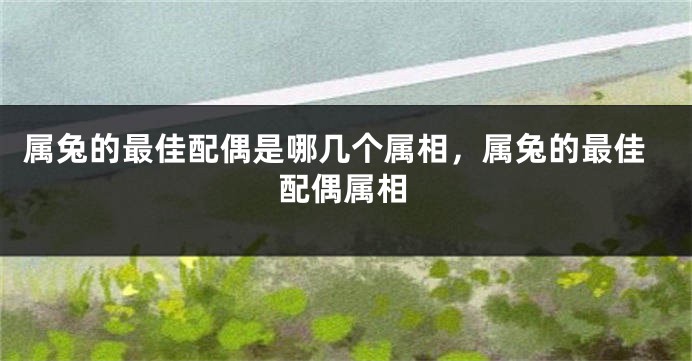 属兔的最佳配偶是哪几个属相，属兔的最佳配偶属相
