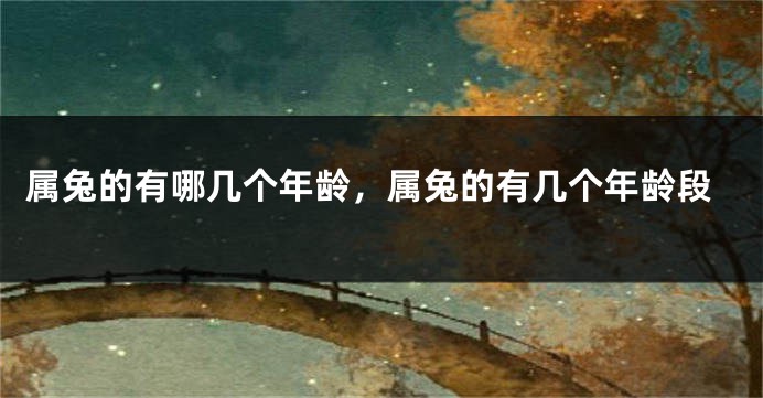 属兔的有哪几个年龄，属兔的有几个年龄段