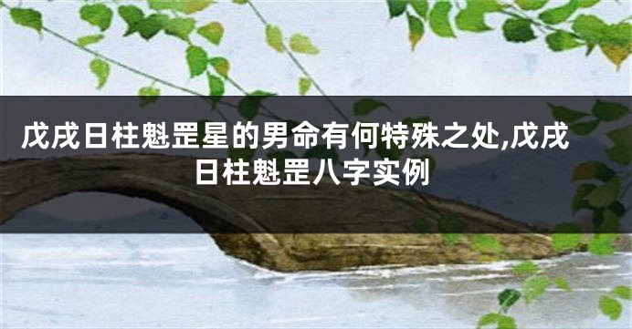 戊戌日柱魁罡星的男命有何特殊之处,戊戌日柱魁罡八字实例