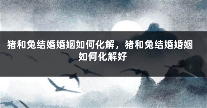 猪和兔结婚婚姻如何化解，猪和兔结婚婚姻如何化解好