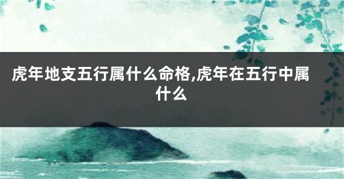 虎年地支五行属什么命格,虎年在五行中属什么