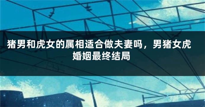 猪男和虎女的属相适合做夫妻吗，男猪女虎婚姻最终结局