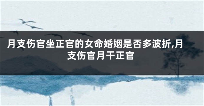 月支伤官坐正官的女命婚姻是否多波折,月支伤官月干正官