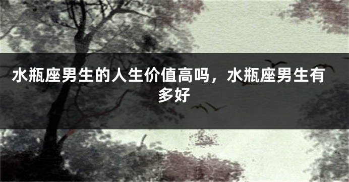 水瓶座男生的人生价值高吗，水瓶座男生有多好