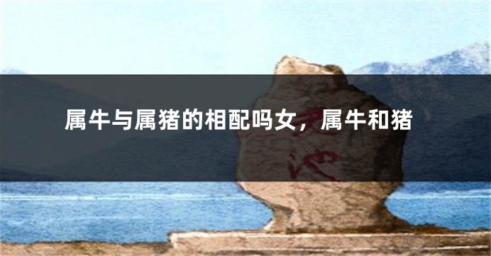 属牛与属猪的相配吗女，属牛和猪