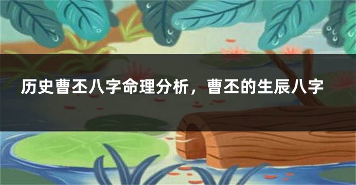 历史曹丕八字命理分析，曹丕的生辰八字
