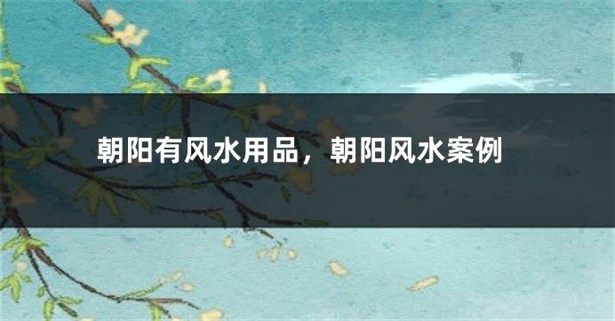 朝阳有风水用品，朝阳风水案例