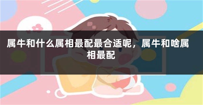 属牛和什么属相最配最合适呢,属牛和啥属相最配