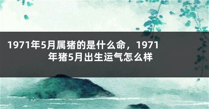 1971年5月属猪的是什么命,1971年猪5月出生运气怎么样