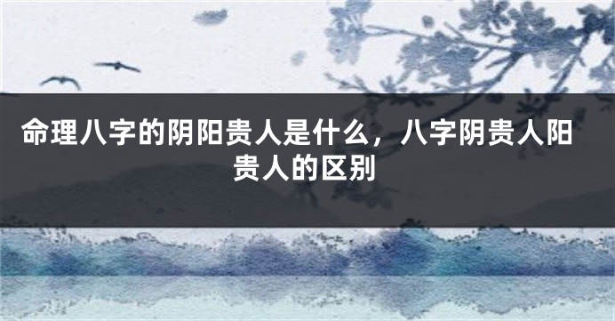 命理八字的阴阳贵人是什么，八字阴贵人阳贵人的区别