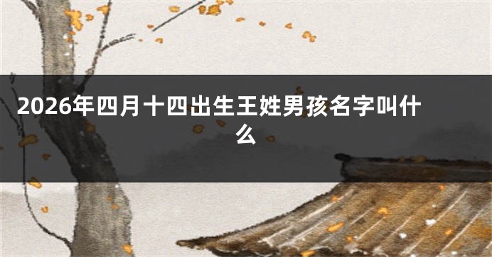 2026年四月十四出生王姓男孩名字叫什么
