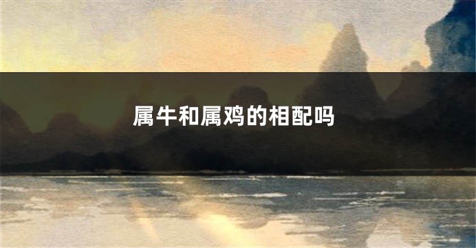属牛和属鸡的相配吗